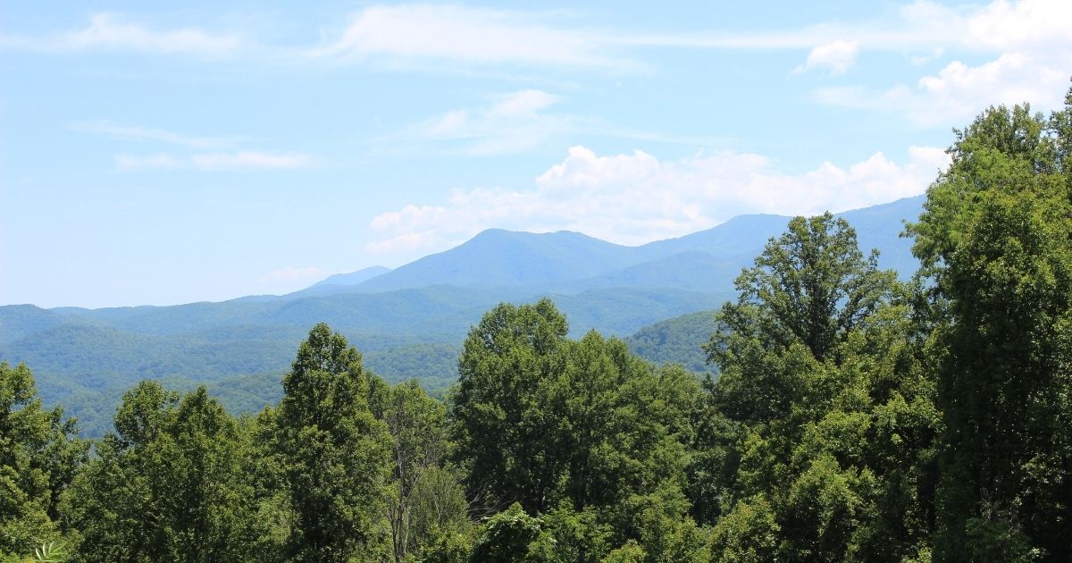 great Smokey Mountains in summer, lush and green